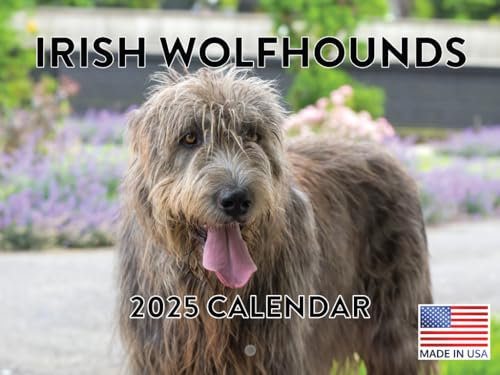 Irish Wolfhound Kalender 2024
