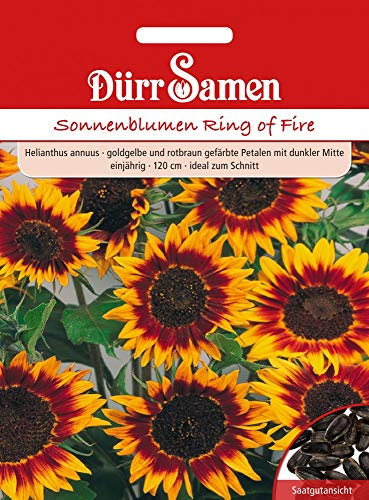 Dürr Samen 4205 Sonnenblume Ring of Fire (Sonnenblumensamen)