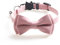DUORUIMI Collier pour Chat avec Clochette Nœud Papillon Sécurité Libération Rapide Réglable pour Animaux Chaton