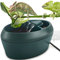 NEPTONION Reptil Chamäleon Kantine mit Snacks Trog, Trinkbrunnen Wassertropfe für Amphibien, Insekten Eidechse Schildkröte Schlange Spinne Frosch Gecko, kommt mit Zwei Pumpen (eine als Ersatz)