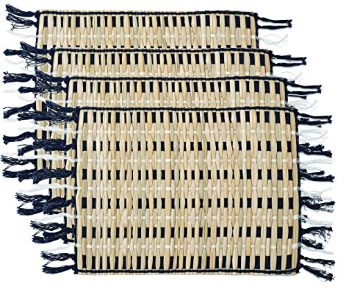 Creative Tops Set of 4 Napier Grasscloth Placemats, CTPMNAPPK4, Assorted, One Size