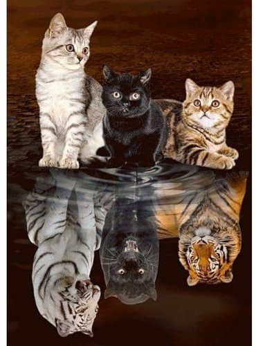 MEIYUDA Diamond Painting Katzen Tiger Reflexionen, 5D Diamond Painting Erwachsene Kinder, DIY Set Erwachsene Diamant Painting Bilder, DIY Handwerk Malerei Kits für Home Wand Décor 30x40cm