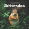Eichhörnchen Kalender: Kalender 2022 2023 - 8.5x8.5 inches - Geschenke für Familie und Freunde