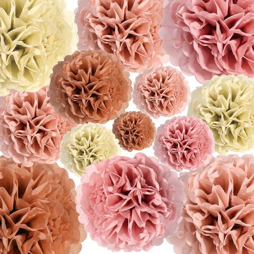 25-teiliges Party-Seidenpapier-Pom-Pom-Pom-Set, Blush Pink, Dusty Rose, Seidenpapier, Blumen, Dekorationen, Boho-Papierblumen, Wanddekorationen für Brautpartys, Erntedankfest,