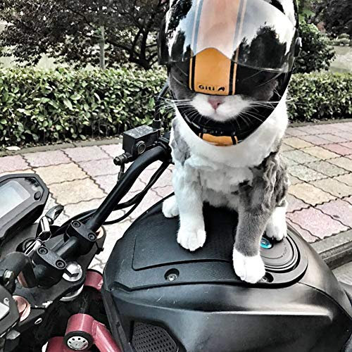 Welpe Katze und Hund Haustier Mini Helm, Outdoor-Sport Kopfschutzausrüstung Helm Haustier Sonnenschirm Hut Fahrrad Haustier Integralhelm