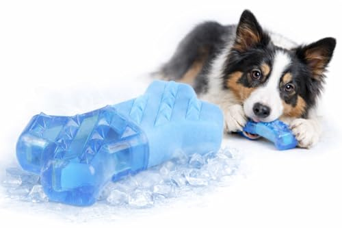 Flamingo Hundespielzeug – kühlender Knochen blau Snowy – 13,3 cm – TPR Gummi – wasserfest – befüllbar – kühlender Effekt wie Kühlmatte Hund – Zahnpflege