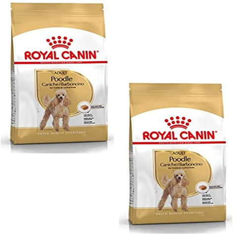 ROYAL CANIN Poodle Adult | Doppelpack | 2 x 500 g | Trockenfutter für ausgewachsene Poodle | Zur Unterstützung des Fells und des Muskeltonus | Für Hunde ab dem 10. Lebensmonat