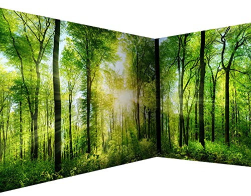 murando Fotomurales autoadhesivo Bosque 539x250 cm Papel Pintado Decoración de Pared Murales Pegatina decorativos adhesivos 3d moderna de Diseno Landscape Nature Paisaje Panorama c-A-0058-a-b