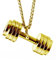 Hanessa Schmuck für Herren Hals-Kette mit Hantel-Anhänger Titan-Stahl in Gold Geschenk zu Weihnachten für Ehe-Mann/Freund/Männer