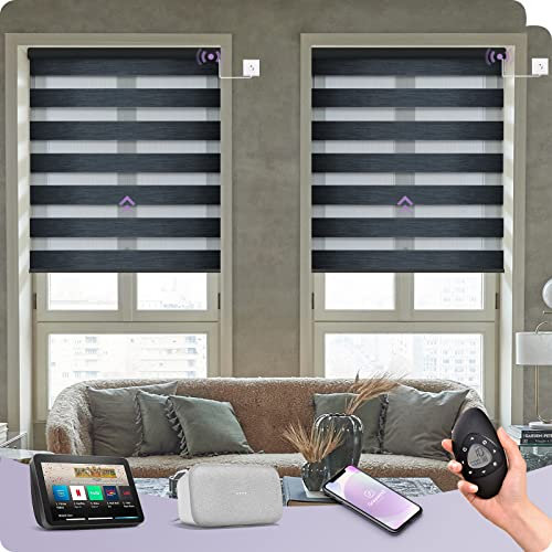 Graywind Customized Smart Zebra Blinds Dual Layer, Hardwired Electric Day Night Blinds Compatible With Alexa Google, Privacy Protection Motorised Window Blinds With Remote for Smart Home, Black