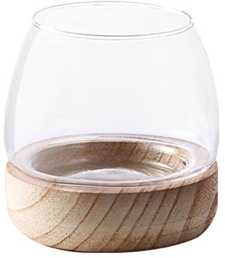 Vase en verre pour poisson - 7,5 x 9,9 cm - Sans terre - Rond - Terrarium - Verre transparent + base en bois