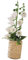 F Fityle 1/12 Puppenhaus Topfpflanzen, Miniatur Bonsai Pflanze Modell, Puppenhaus Mini Pflanze Künstliches Grün Ornament, Puppenhaus Dekor Blume Modell für Kinder Mädchen Puppenhausdekoration