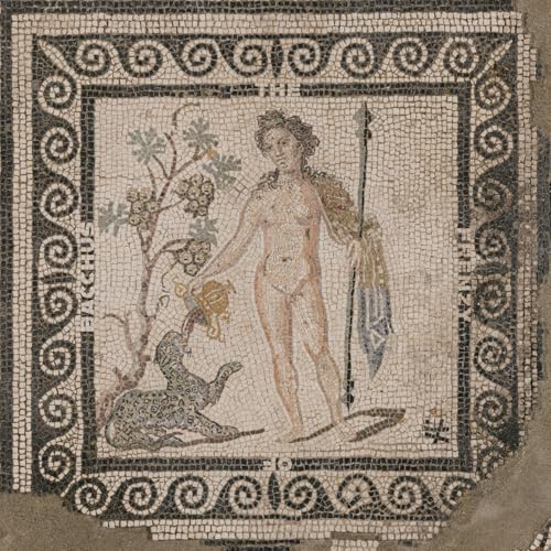 The Frenzy of Bacchus