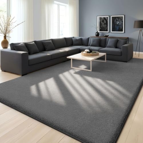 Homaxy Modern Rugs Living Room Non-Slip Carpet, 120x160 cm, Dark Grey | Extra Soft Machine Washable, Non-Shedding Area Rugs, Thick Memory Foam Backing, Home Decor for Bedroom, Nursery, Office