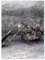 Wandsticker Dekor Foto Aufkleber 100x135cm Easy Rider Motorrad No.H756M_NS1AR