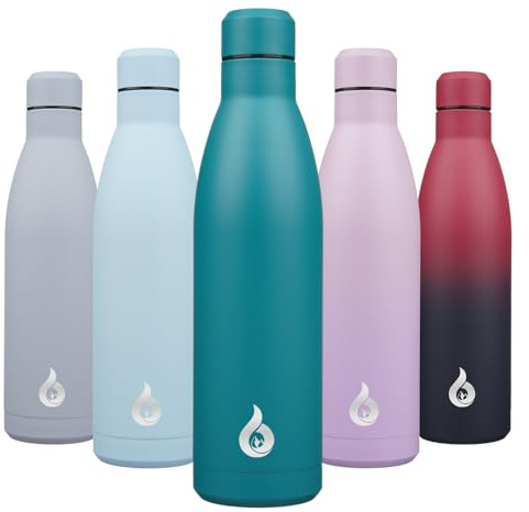BJPKPK Acier Inoxydable Bouteille 750 ml Isotherme avec Poignée et Paille Couvercle-Sans BPA-Anti-fuite avec Poignée Portable-étanche Gourde Isotherme, Laguna