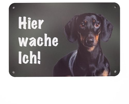 Kurzhaardackel Teckel „Hier wache ich!“ Hundeschild – UV- und wetterfestes Warnschild für Gartenzaun, Tor und Grundstück – Aluverbund, 24 x 16 cm – Made in Germany