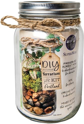 Portland Terrarium-Set zum Selbermachen von Einmachgläsern, Terrarium-Set