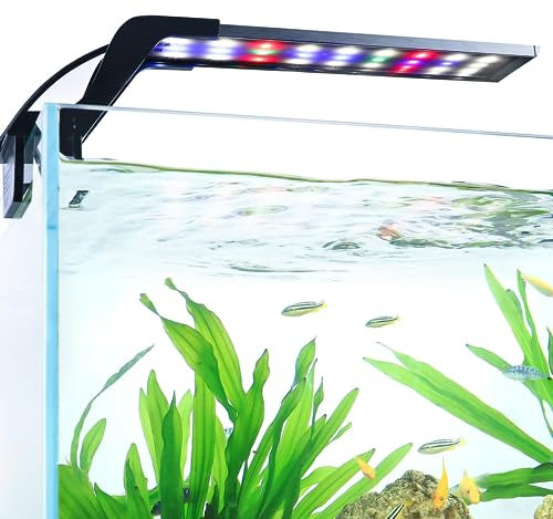 AQQA Aquarium Clip On Light, Full Spectrum LED Fish Tank Light with Dimmer-Timer,24/7 Lighting Cycle,3 Types of Lighting Color Mode, 8W Intensity Adjustable Fish Tank Clip On Light