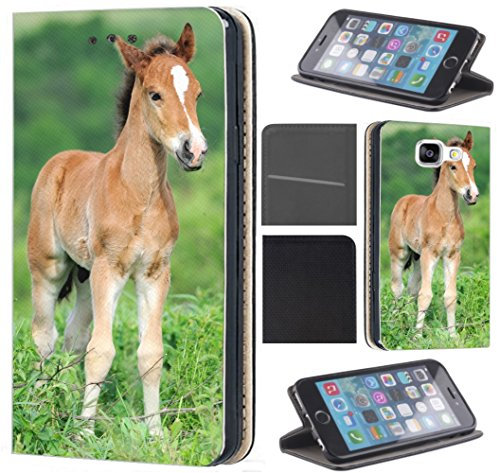 CoverHeld Hülle für Apple iPhone 6 / 6s Handyhülle Design 1531 Fohlen Pferd Tier Braun aus Kunstleder Schutzhülle Flipcover Beidseitig Handy Case Hülle für Apple iPhone 6 / 6s