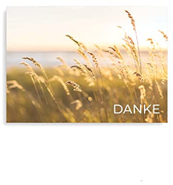 Friendly Fox Dankeskarten Feld, 12x Dankeschön Karten romantisch Landliebe, DIN A6 Klappkarte Danke mit Briefumschlag