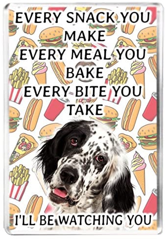 Every Snack You Make - English Setter - Funny Pet Owner Quote - Dog Mum/Dad - Fridge Magnet - Novelty Gift