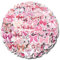 DIWSO 110 Pcs Coquette Schleifen Aufkleber für Scrapbook, Tagebuch, Laptop, Umschläge, Geschenke Tags, Skateboard, Wasserflasche, Fahrrad, Computer, Graffiti, Teenager, Junge, Mädchen, Wasserdicht