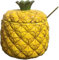 PGPAYH Sucrier, récipient à Sucre, Pot à Sucre, sucrier en céramique en Relief Ananas Peint à la Main Pot à épices Pot d'assaisonnement avec Couvercle cuillère