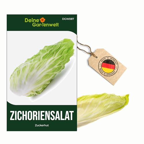 Zichoriensalat Zuckerhut Samen - Cichorium intybus - Salatsamen - Gemüsesamen – Saatgut je Tüte für 150 Pflanzen – 3er Pack
