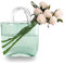 Candora Glasvasen für Dekoration, kreative Blasen, Handtasche, Blumenvase, Desktop-Glaskorb, Vase, Mini-Kristall-Aquarium für Tischdekoration, Küche, Büro, Wohnzimmer (grün)