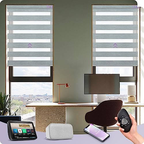 Graywind Smart Zebra Blinds, Dual Layer, Rechargeable, Alexa/Google Compatible, Privacy Protection, Motorised, Grey