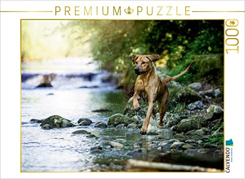 CALVENDO Puzzle EIN Motiv aus dem Kalender Löwentanz - Rhodesian Ridgeback 1000 Teile Puzzle quer | Lege-Größe cm Foto-Puzzle für glückliche Stunden