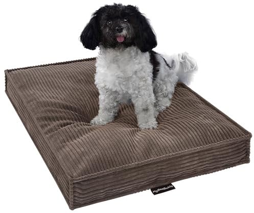 MyBestBuddy Hundekissen Visco braun 70x50 cm M mit POSO-Cord Stoff mit Viscoseschaum und Komfortschaum-Flocken, 40°C waschbar - Hundebett/Haustierbett für kleine Hunde oder Katzen, 70 x 50 cm