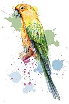 Goldkindzauber DIY Aufbuegler Patch Sticker Applikation Papagei Vogel Art Aufnaeher Kleidung Patches Zum Aufbügeln