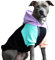 Spark Paws Hunde Kapuzenpullover – Premium-Qualität, butterweich, hervorragender Komfort und Passform, beruhigende Fleece-Innenseite, geeignet für alle Rassen - Cyber Punk - 4XL