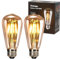 YOUDIAN LED Edison Bulb, Vintage Light Bulb,4W E27 2700K ST64 LED Bulbs, Led Filament Bulbs, Antique Style Retro Amber Glass Screw Lamp 220V (2 Packs)