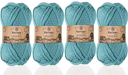 Schneeball Melange Wool Handstrickgarn 100 Gr (K5017 Mint)