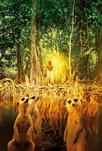 RUIYANMQ 1000 Pieces Life of Pi Film Posters Jigsaw Puzzle Für Erwachsene Familie'S Pädagogisches Spielzeug Vy281Nt