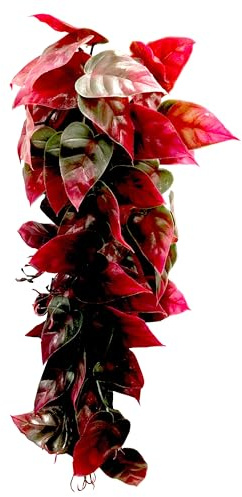 Penn-Plax Reptology Dekorative Hänge-Terrarium-Pflanzenranken für Reptilien und Amphibien, 30,5 cm Länge, Grün & Rot