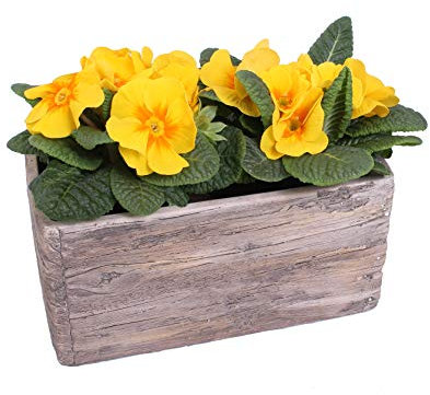 AAF Nommel ®, Pflanzschale 09 Blumentopf Holzoptik Pflanztopf rechteckig, Länge 23 cm, Breite 11 cm, Höhe 11 cm, Gewicht 1,4 kg