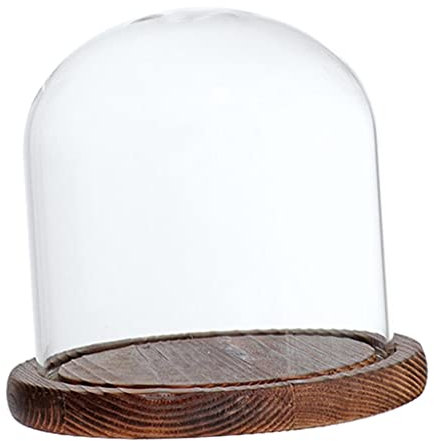 Folpus Glasglocke mit Und Holzsockel, Braun E