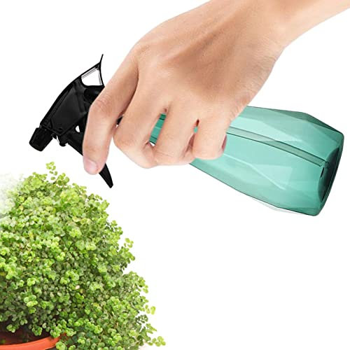 Mister Water Vaporisateur à brume fine pour fleurs, arrosoir à brume fine, bouteille d'arrosage succulente, vaporisateur, 500 ml Aferzov
