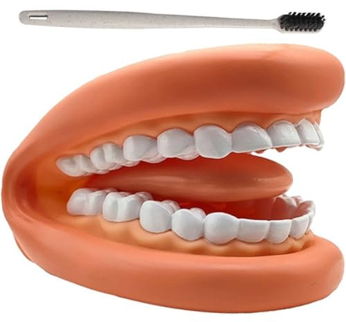 Keuyeo 1 Set Mund Modell Puppen Mund Zähne Zunge Handpuppe Zahnbürste Dental Modell Pädagogische Lernressource Für Kinder