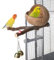 Honhoha Vogel-Kokosnuss-Haus,Vogelnesthaus, Hüttenkäfig aus Kokosnussschale Kokosnussschalennest mit Kokosraspeln, bequemer Sittich-Nistkasten für Papageien, Kanarienvögel, Wellensittiche,