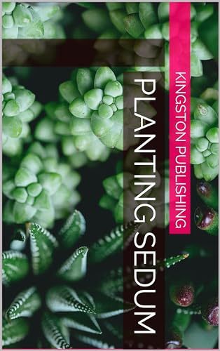 Planting Sedum (Succulents)