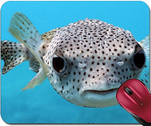Komputer-Mousepad, Riesen-Kugelfisch Mousepad Verschleißfest Mousepad Komfort Gaming Mousepad Für Pc Laptop 25X30Cm