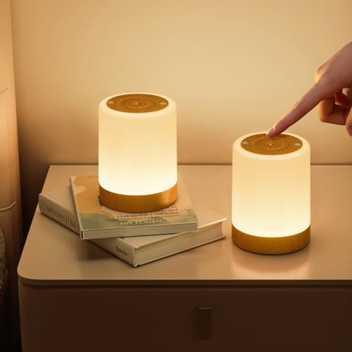 NIWOHOM 2 Pcs Nachttischlampe Touch Dimmbar, 5 Modi LED Tischlampe USB Aufladbar mit 256 RGB Farben&, Warmweiß Nachtlicht mit Timer Speicherfunktion, Stilllicht Dimmbar für Schlafzimmer, Kinderzimme