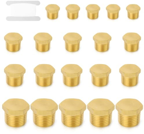 TAISHER 20 pièces Brass Outer Hex Thread Socket Pipe Plug Fitting 1/81/43/81/2BSP Male, For Water Oill Air Gas