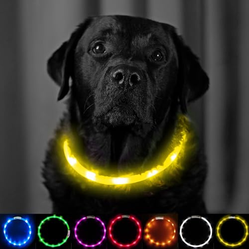 Light Up Dog Collar Yellow - Extra Bright LED Collar - USB Rechargeable - Cut to Fit (20cm to 70cm) with Static or Flashing Mode - Weatherproof, Easy Clean, High Visibility & Full Guarantee