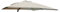 Cosma Telo per ombrellone da Giardino Mercurio 3x4 PL - OM806107-BEIG